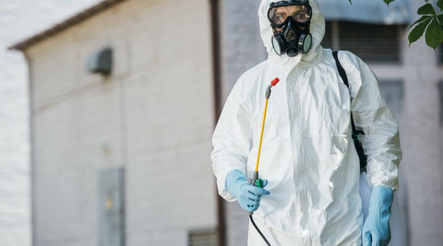 Professional pest control services in Coburg